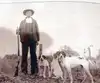 Walter Bernards