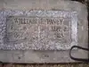 William Pavey