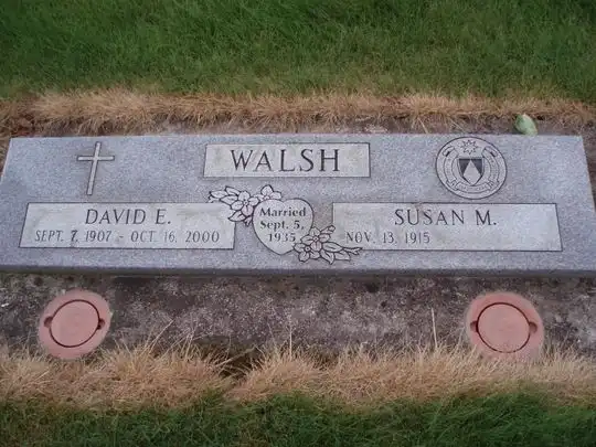 David E Walsh
