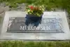 Irvin Walter Meeuwsen