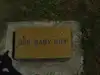 Baby Boy Bagley