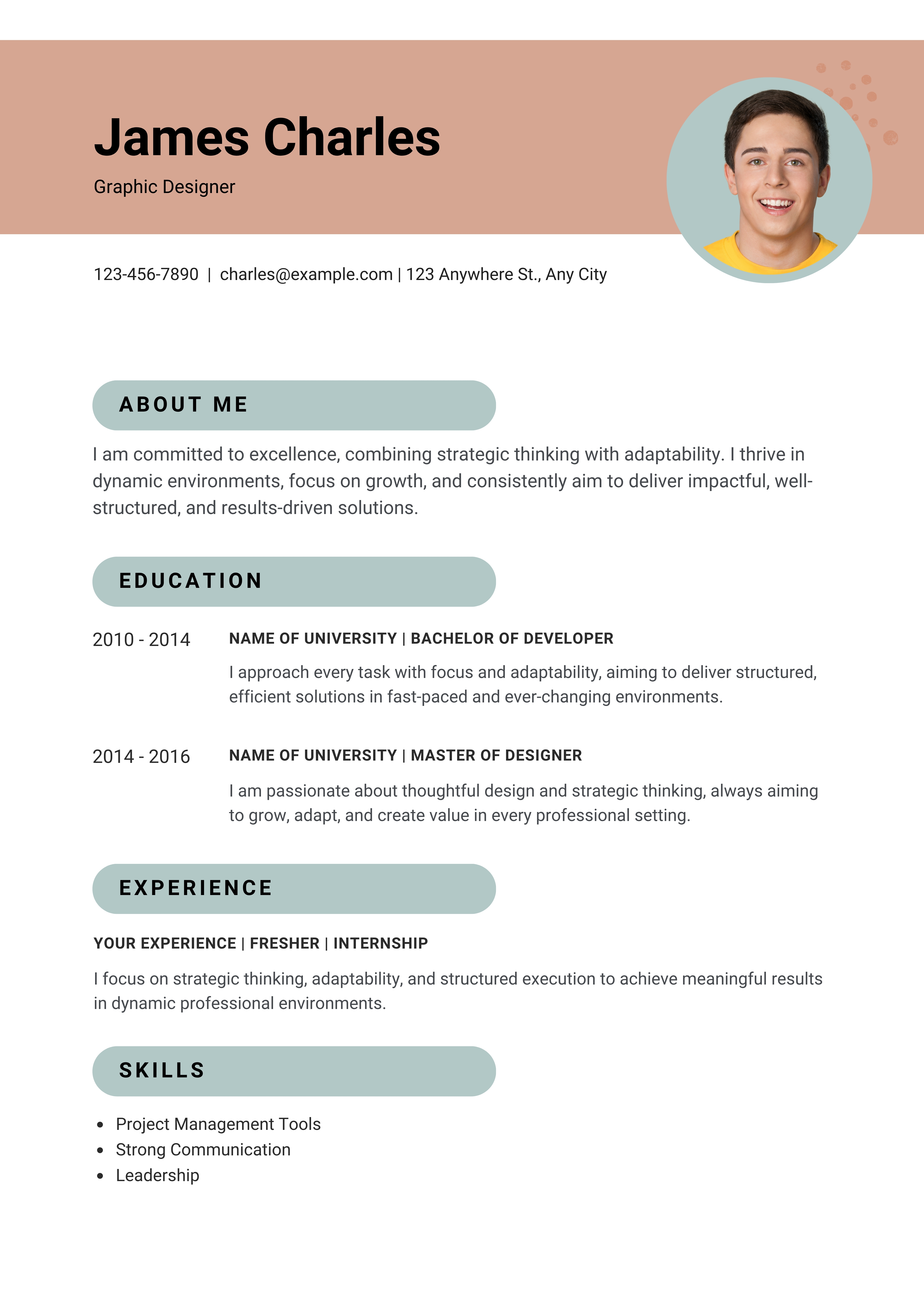 ResumeShala Example 7