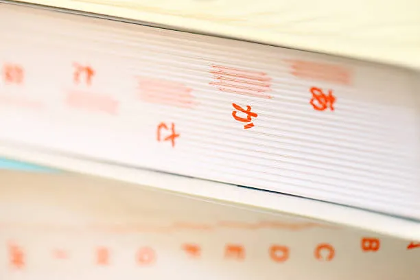 既往歴の意味と定義