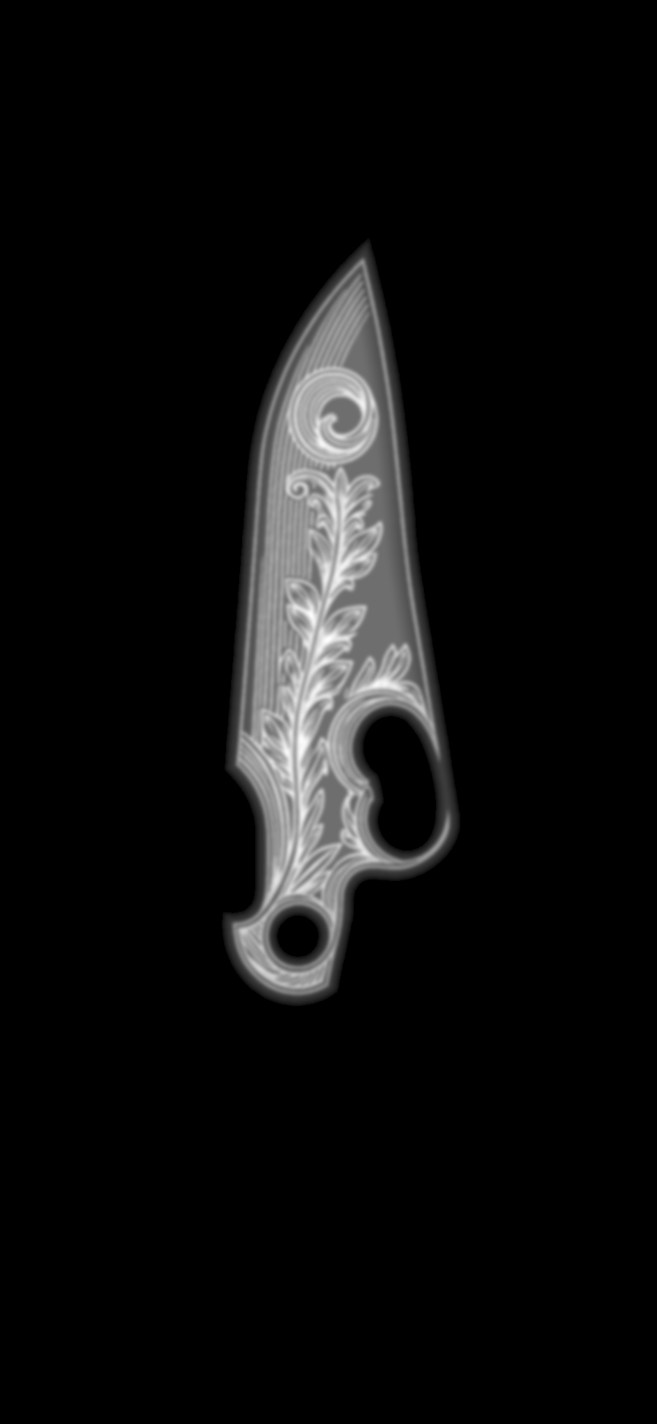 Vector Showcase Design