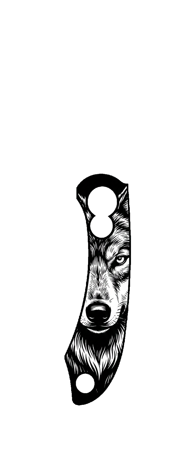 Vector Showcase Design