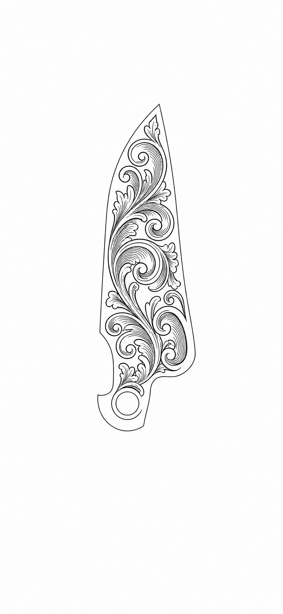 Vector Showcase Design