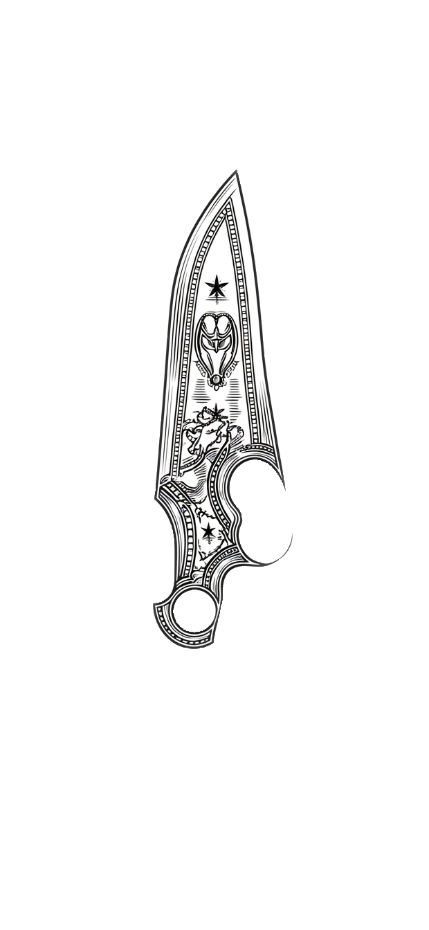 Vector Showcase Design