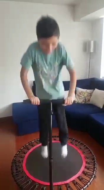 Saltarin / trampolin fitness