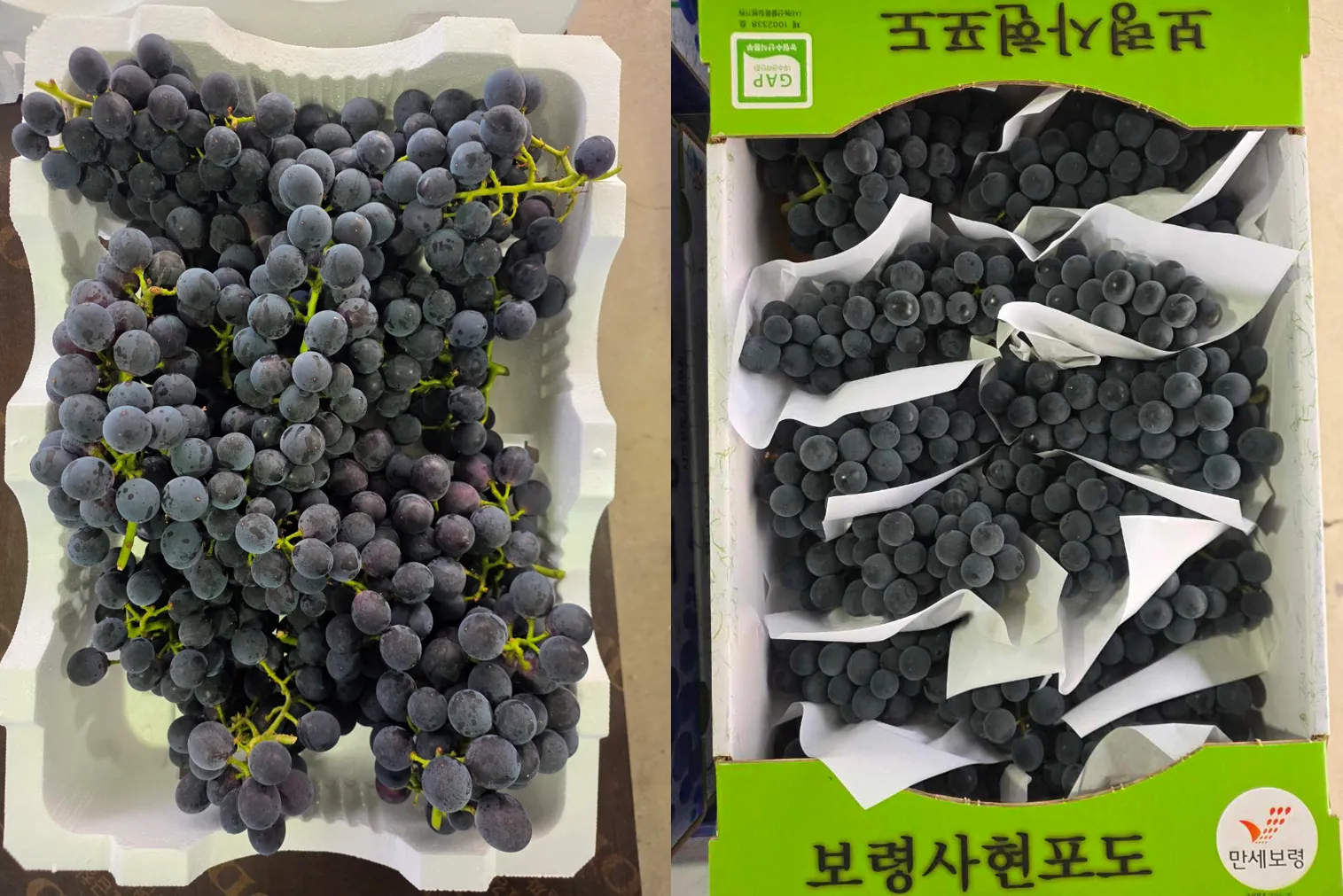 [보령시] 일번지포도원