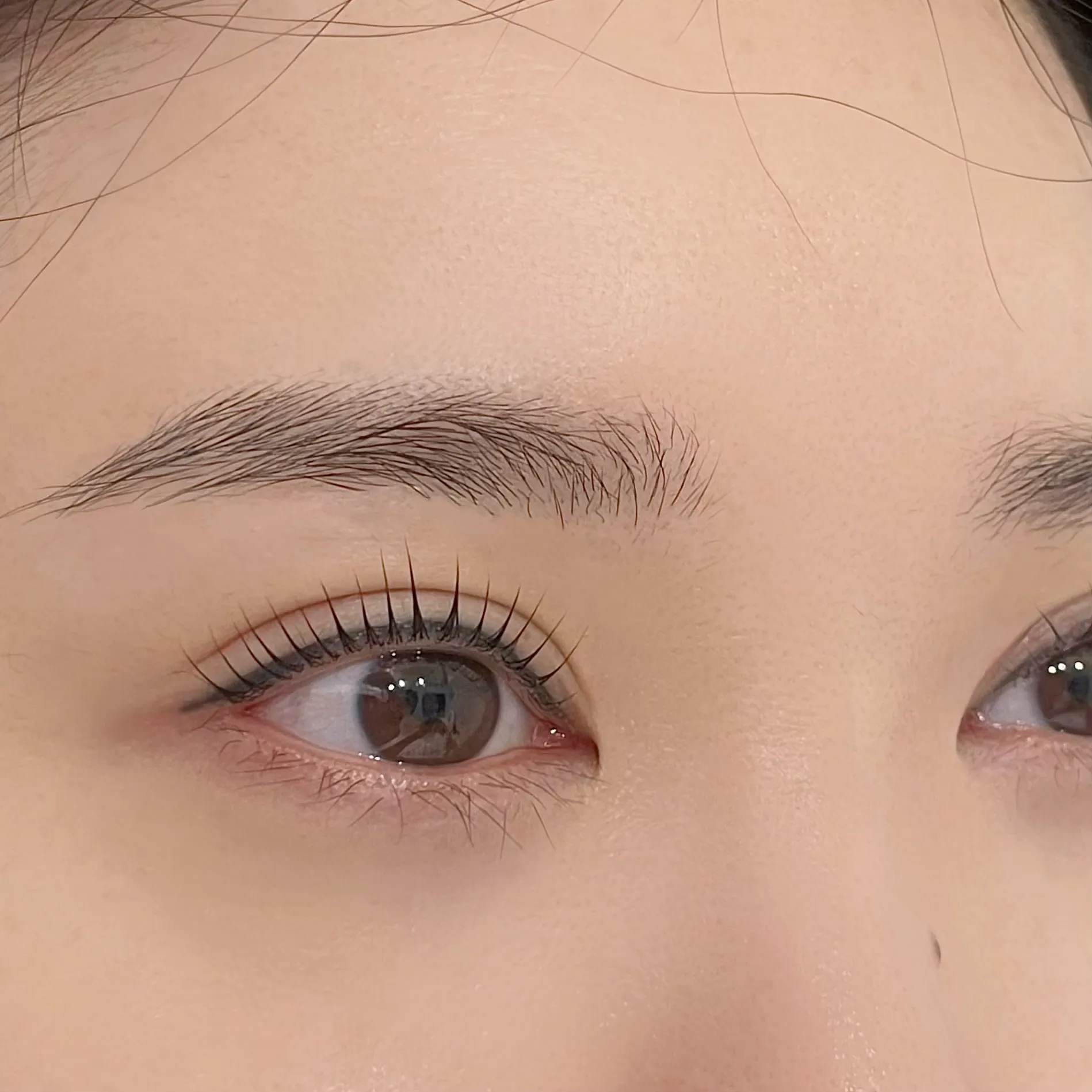 르온 속눈썹 이미지