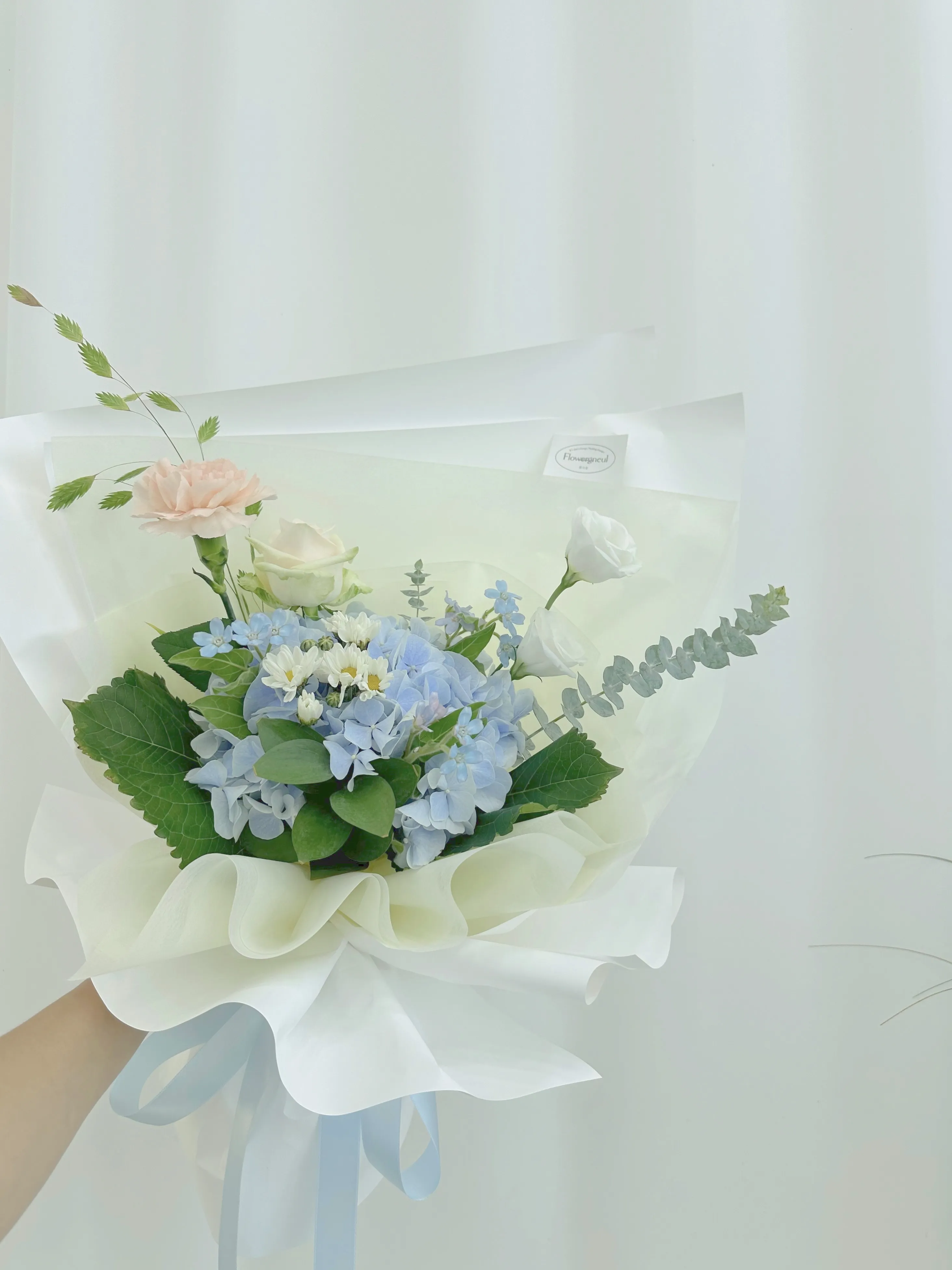 [평택시] 꽃그늘