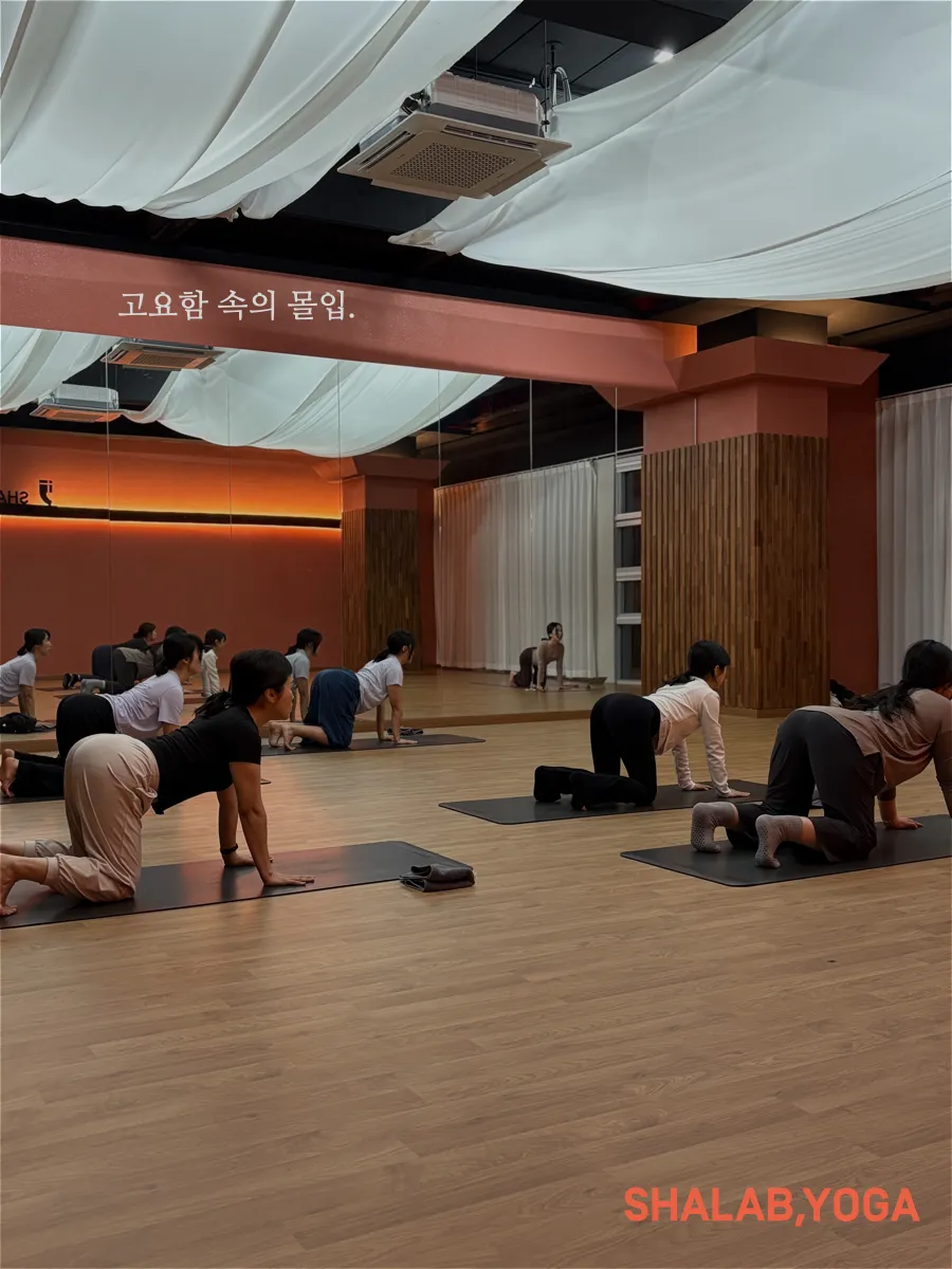 [시흥시] 샤랩요가