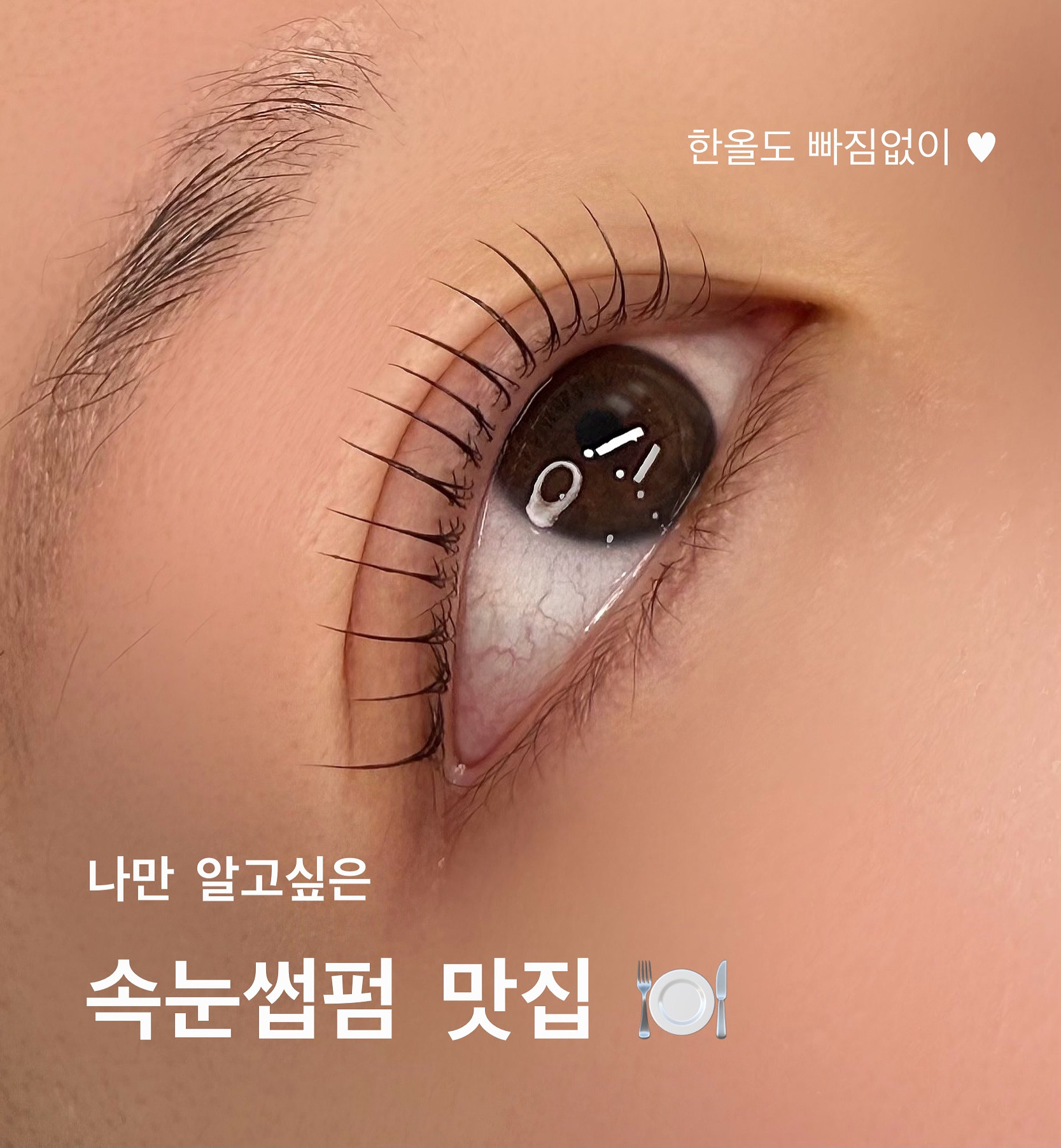 [김해시] 마요래쉬