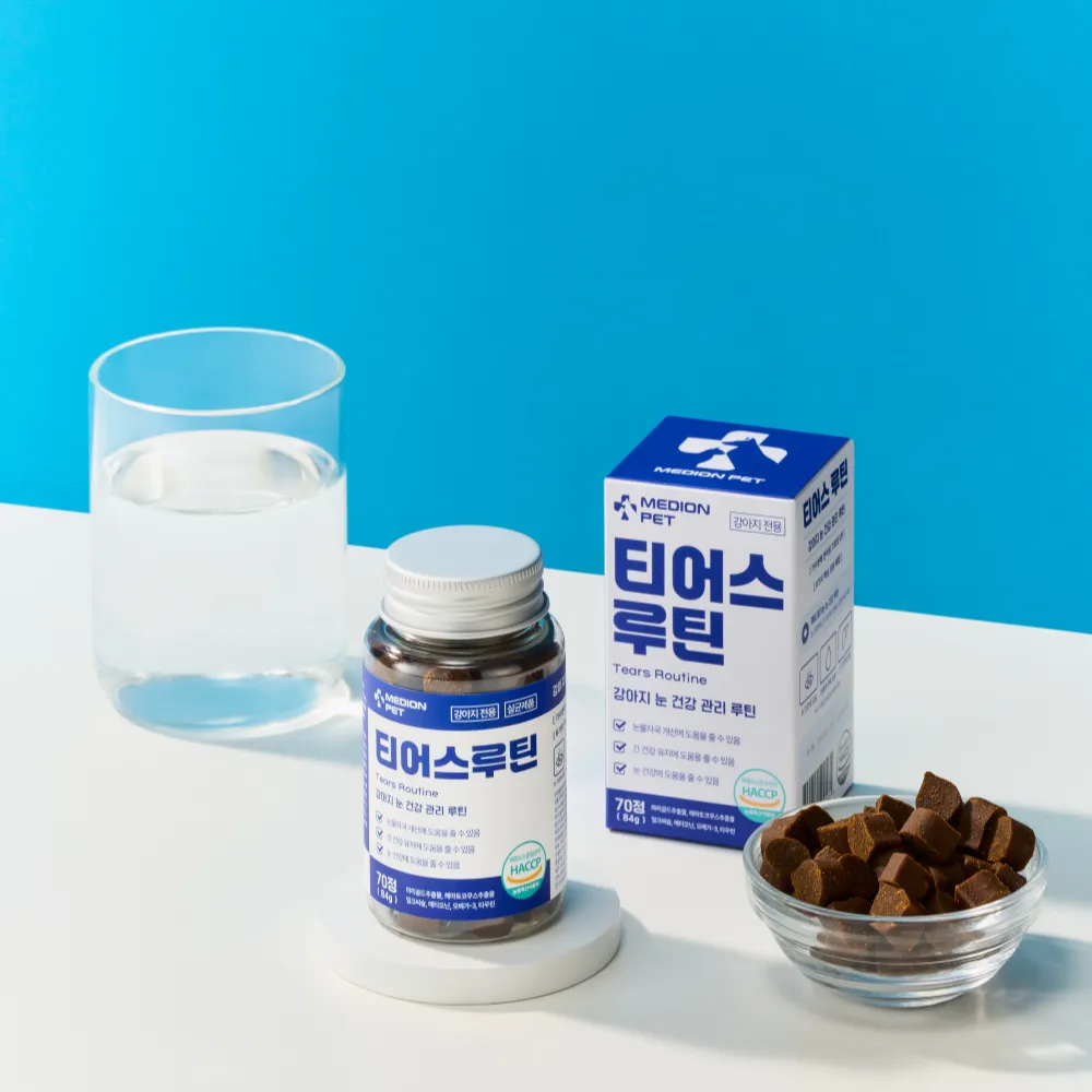 티어스루틴 사장님