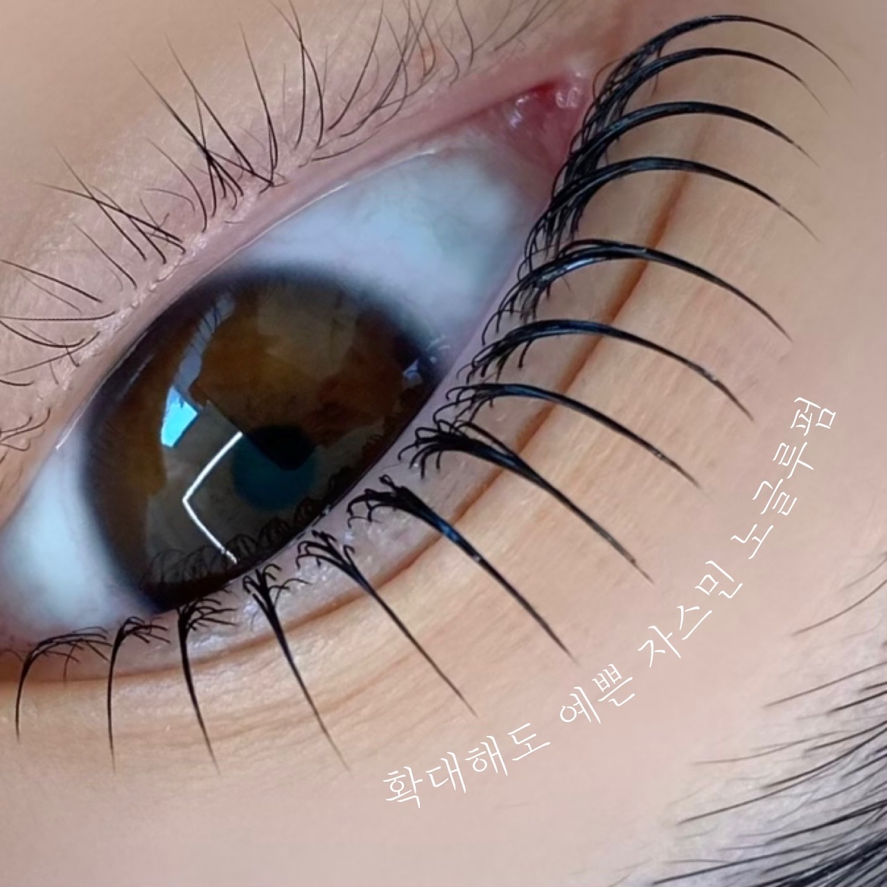 [북구] 뮤니크