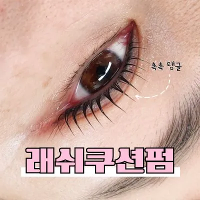 [동구] 하울라스틱