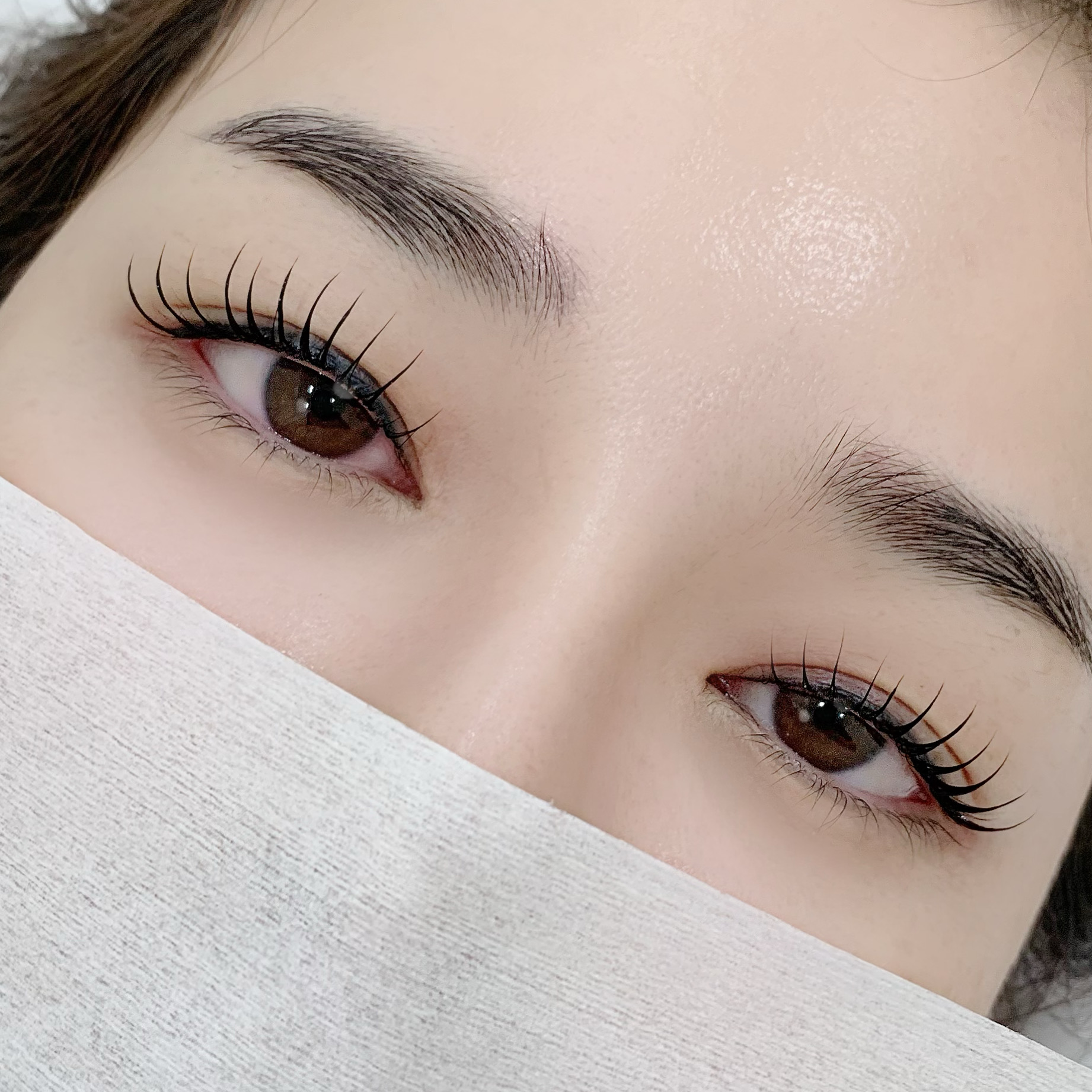 레브 스튜디오 이미지