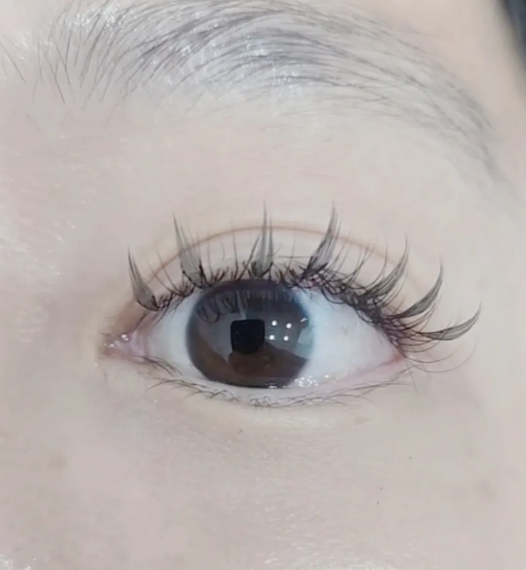 제이영래쉬 이미지