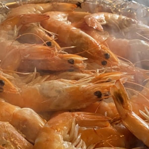[시흥시] 꽃새담 오이도점