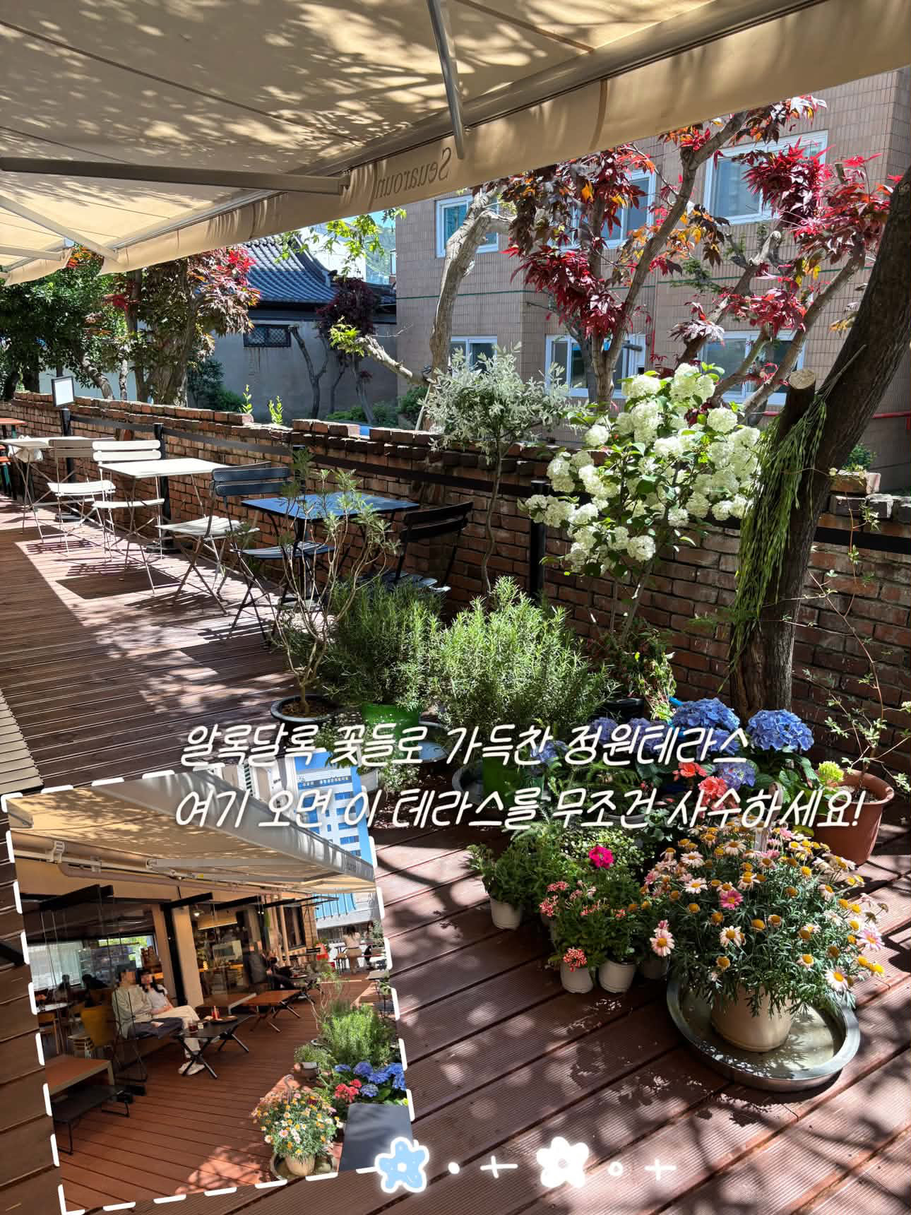 [동구] 스아로운
