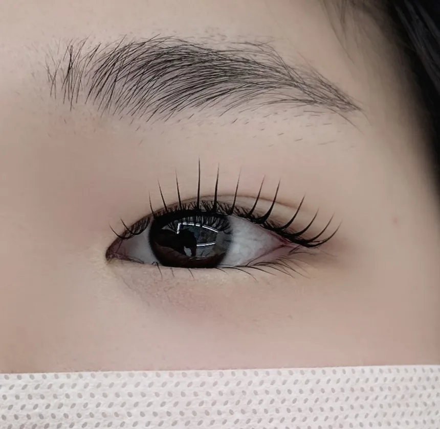 딜라잇풀 뷰티 이미지