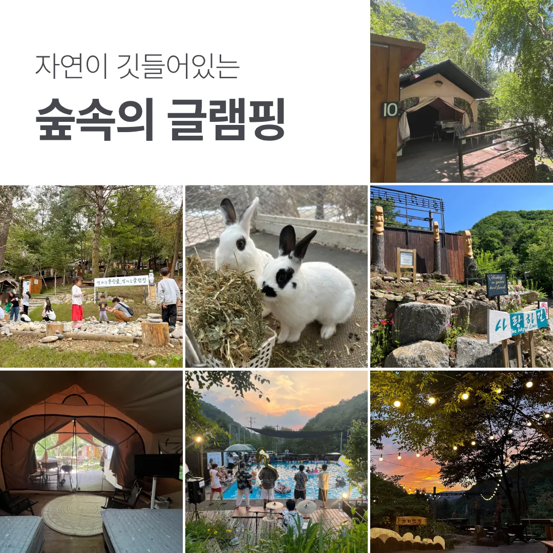 춘천숲자연휴양림