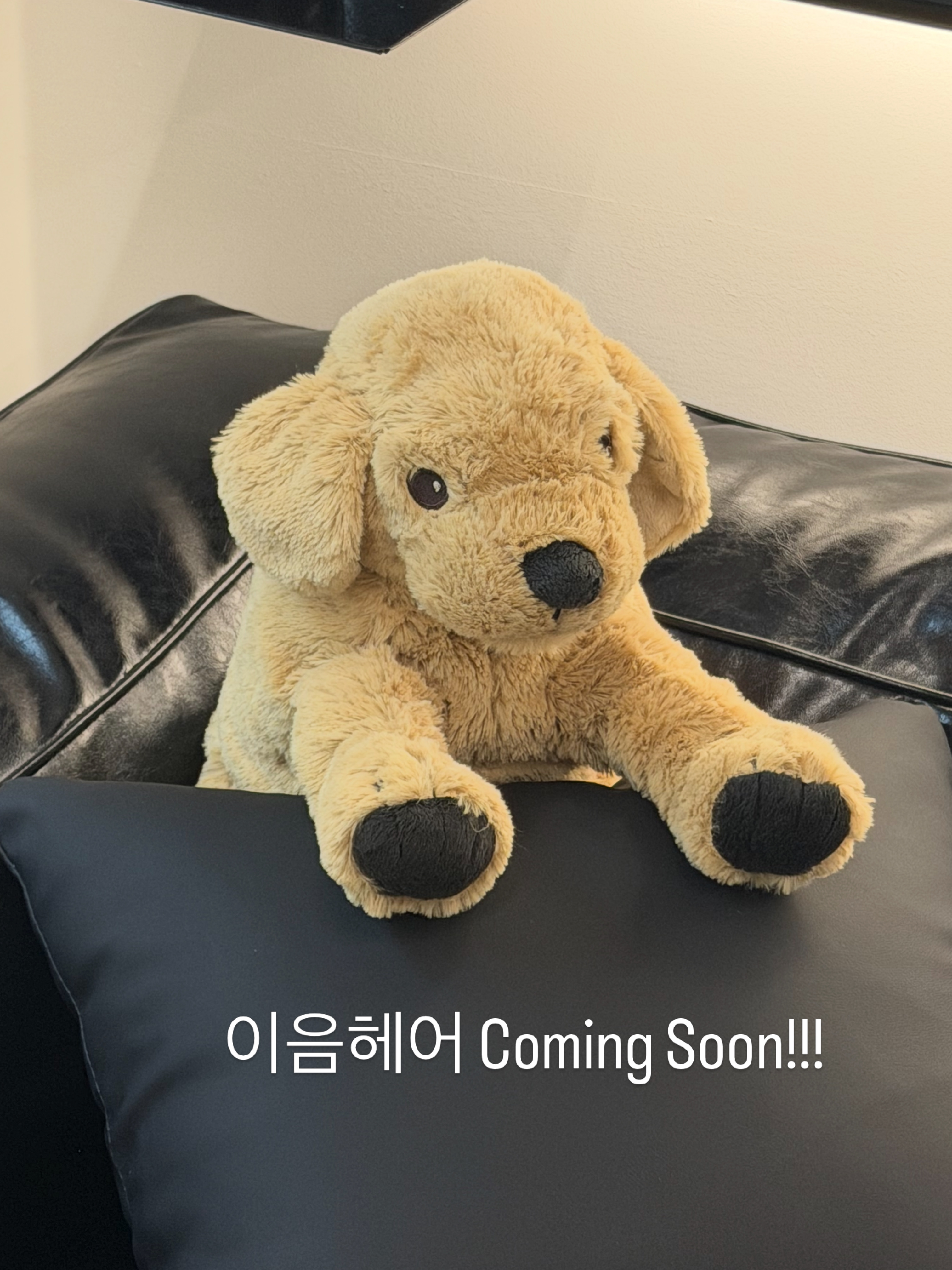[강서구] 이음헤어
