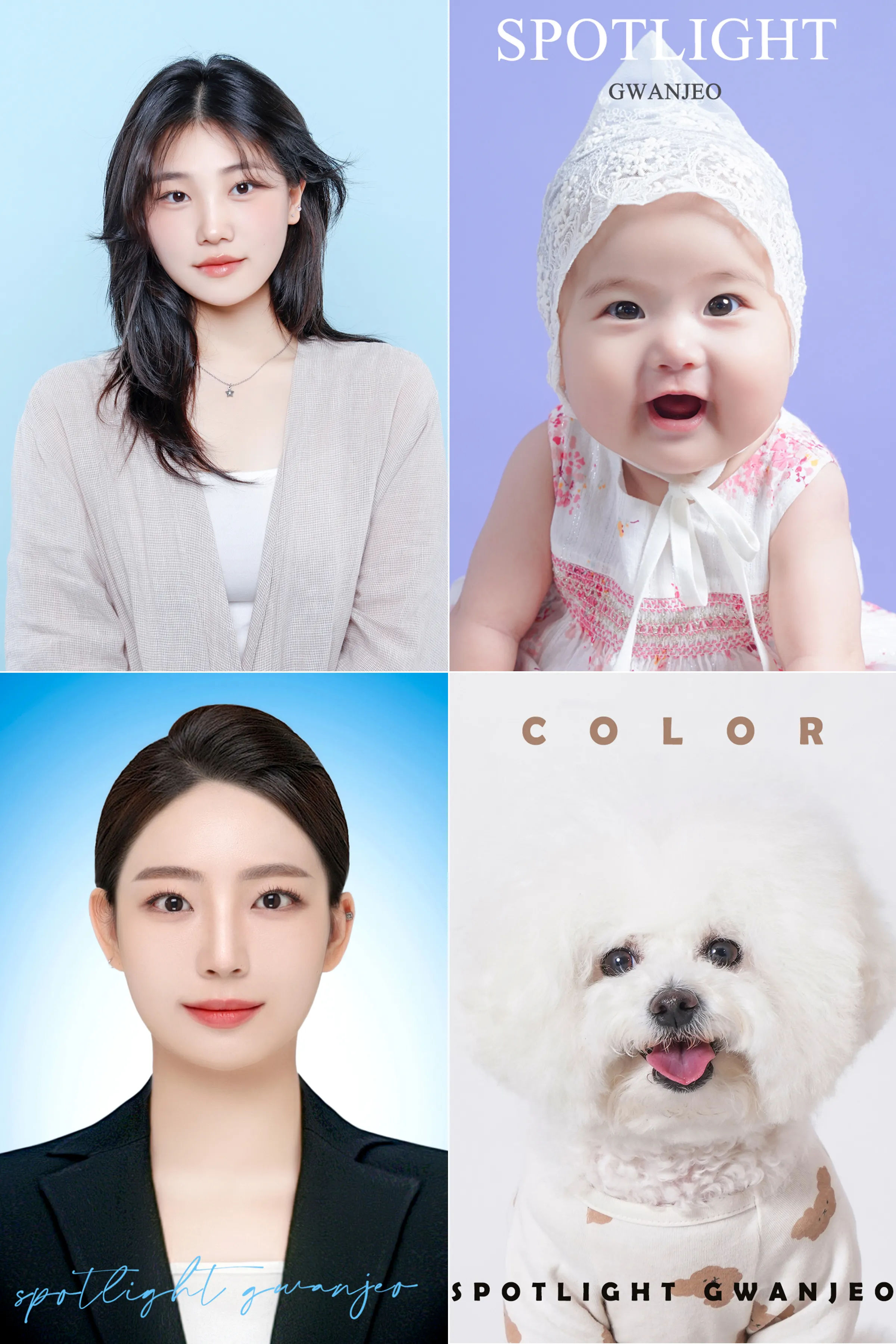 [서구] 스폿라이트 관저점 사진관