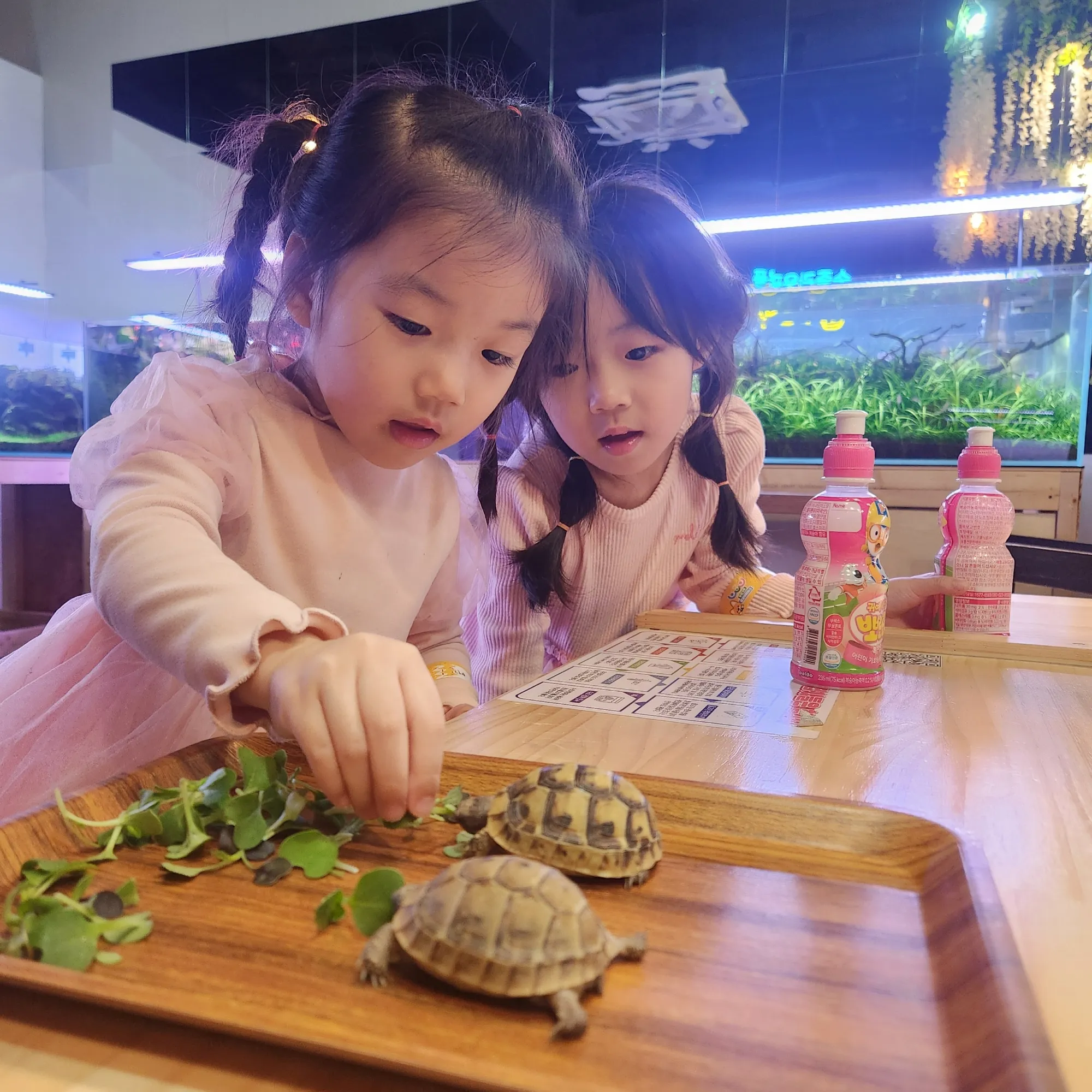 [영종구] 작은연못