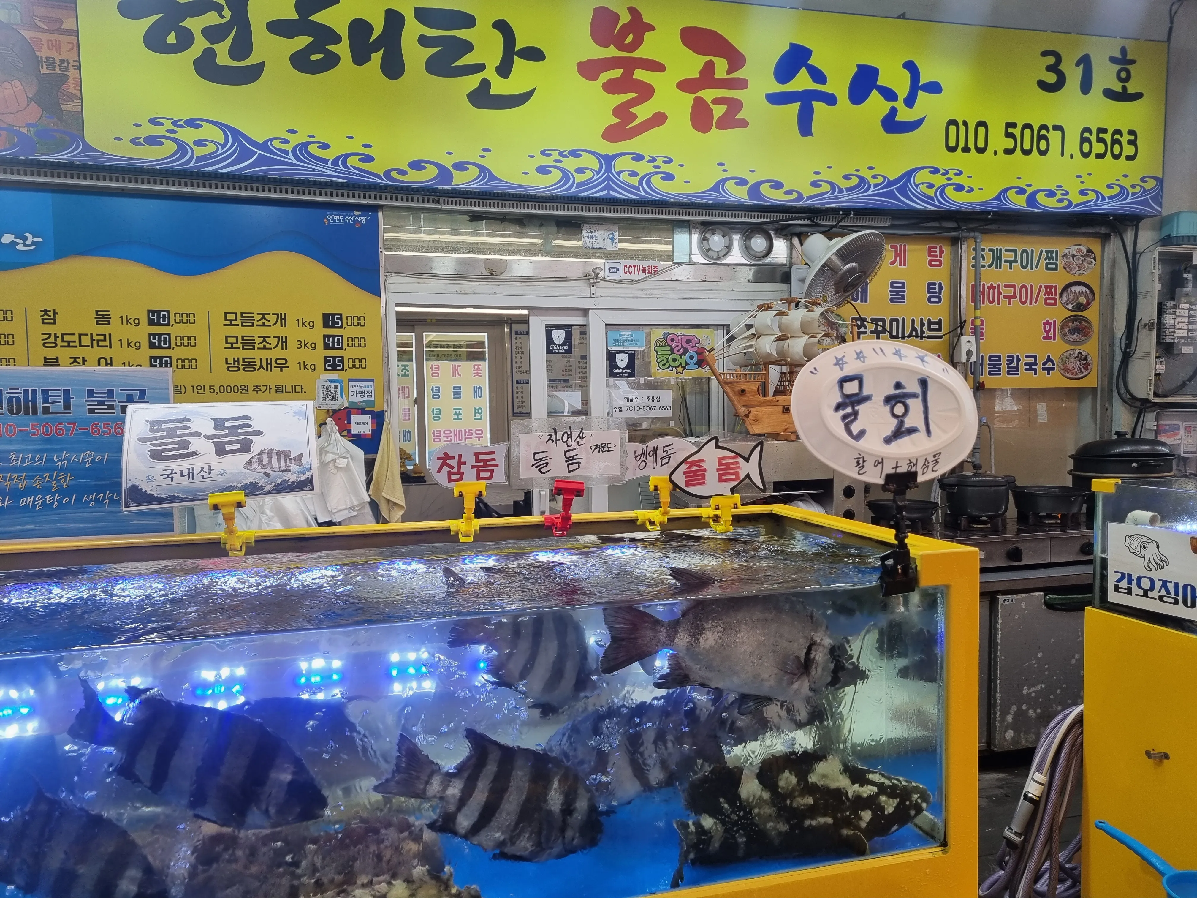 [태안군] 현해탄불곰