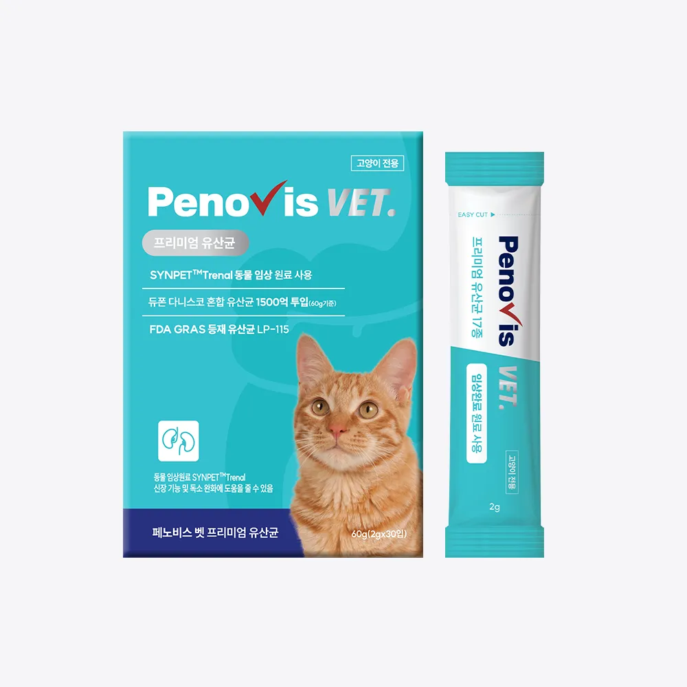 펫닥터 이미지