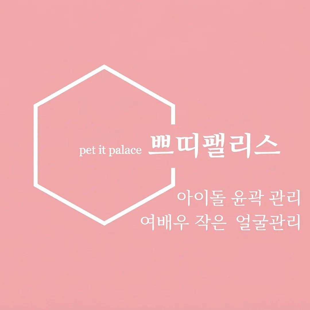 [서구] 쁘띠팰리스 대전점