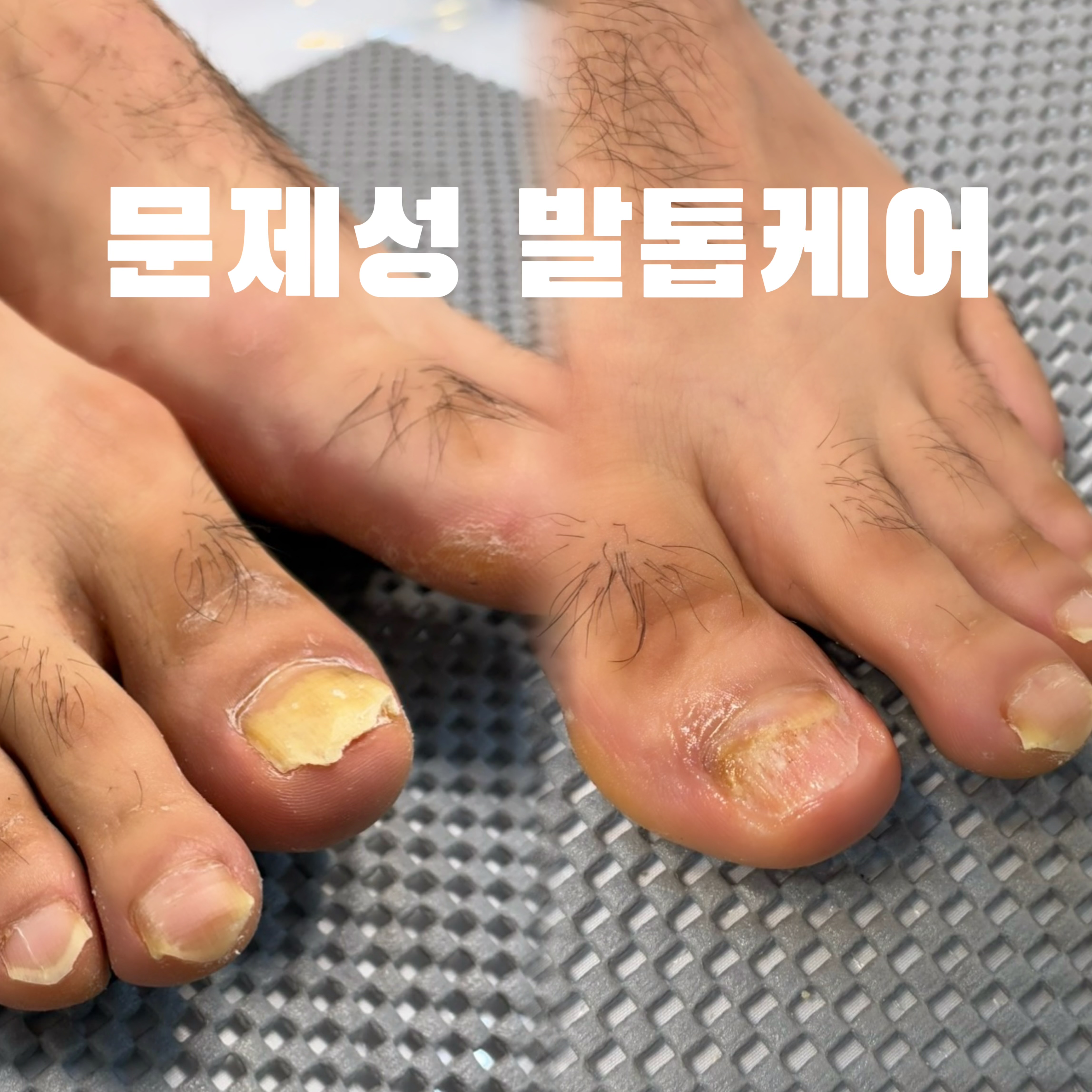 누찌크