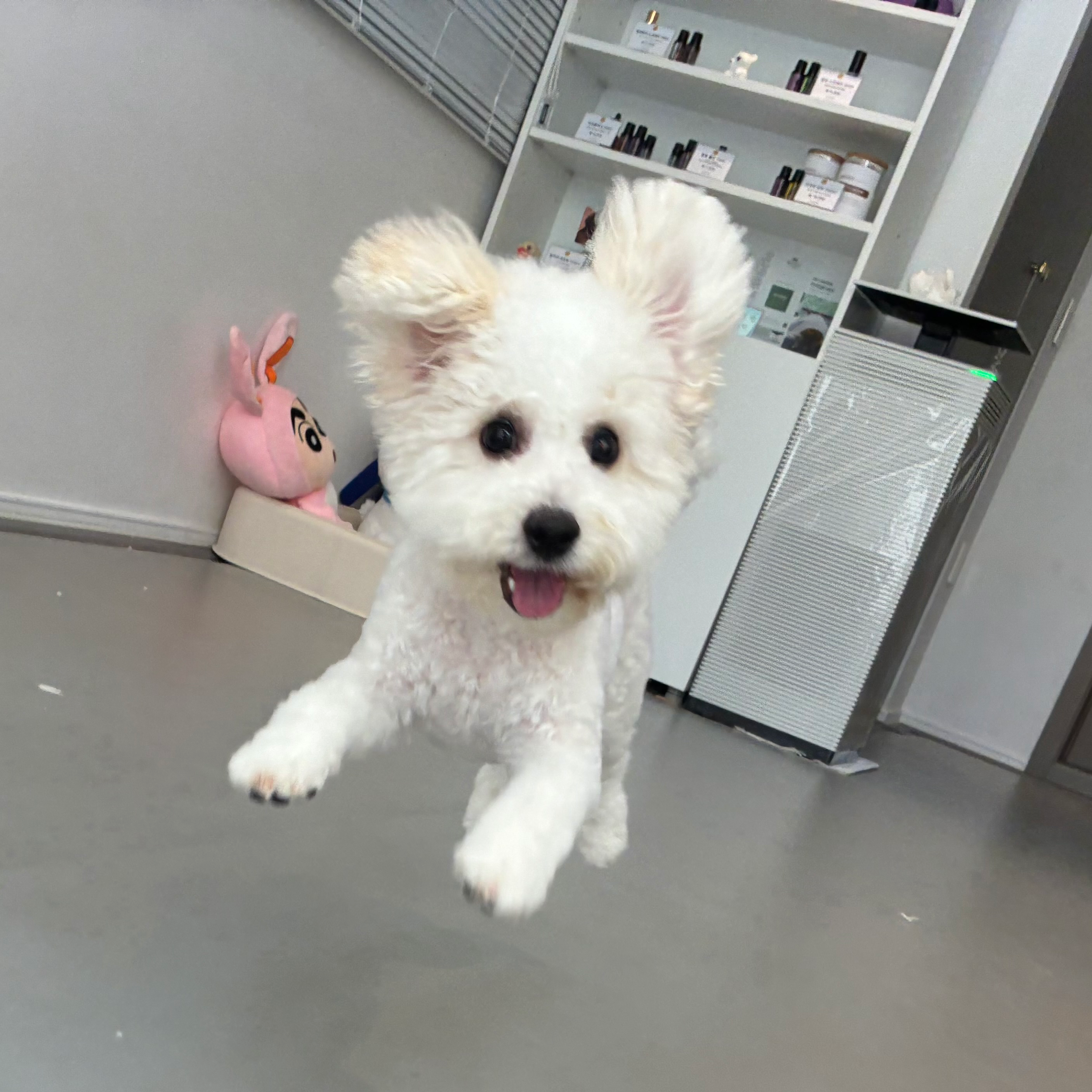 [전주시] 아로멍