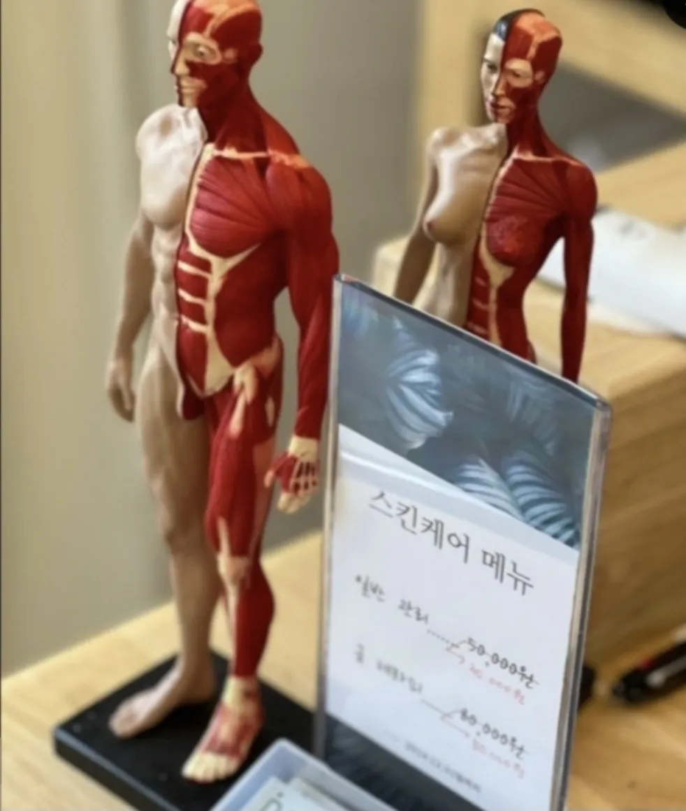 [북구] 디더테라피