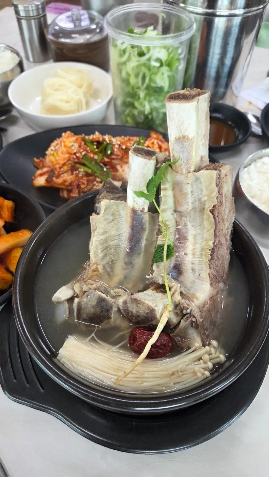 [충주시] 서초곰탕