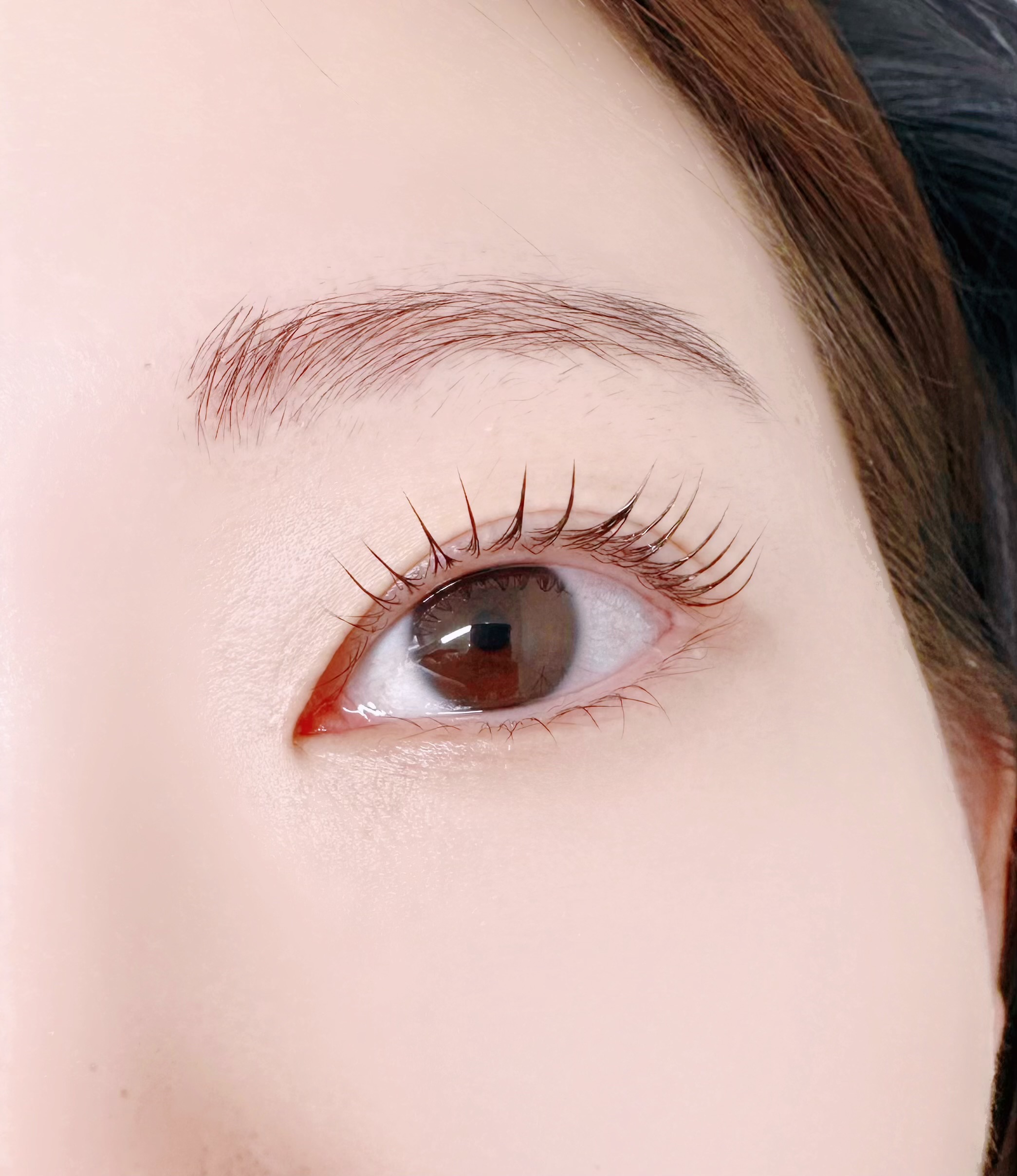 릴리래쉬