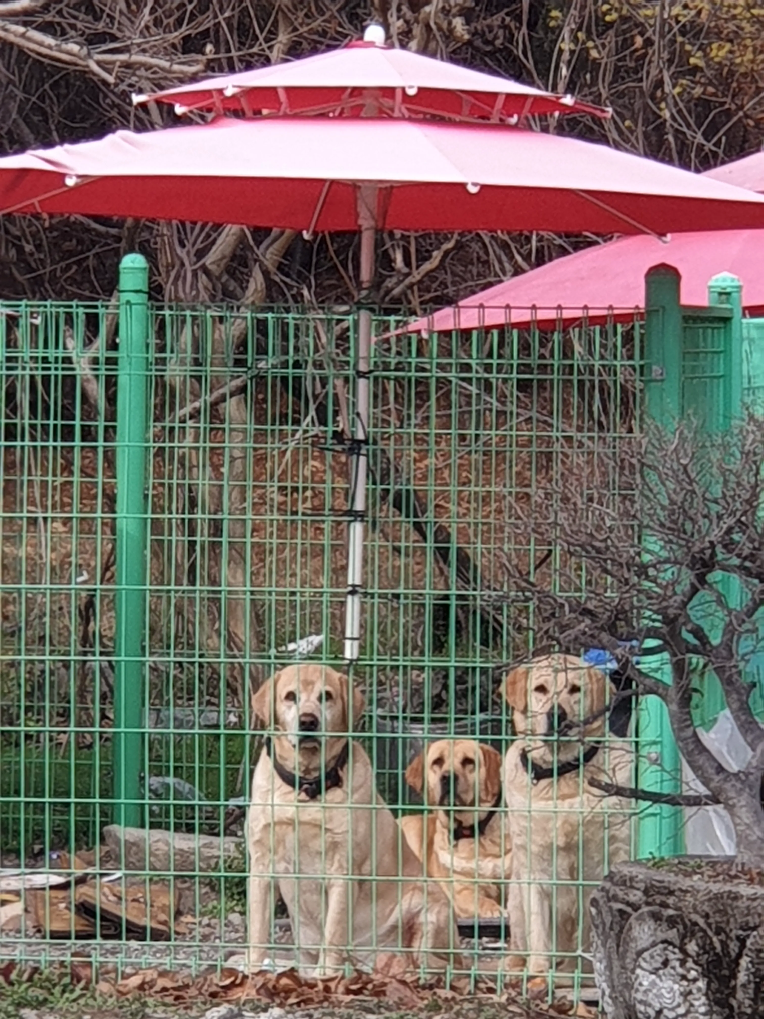 [경주시] 황금알