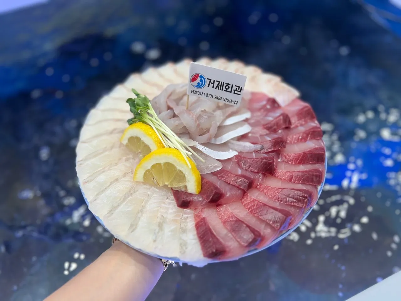 [거제시] 거제회관 회센터