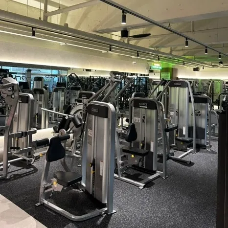 [진주시] 머슬팩토리 강남점
