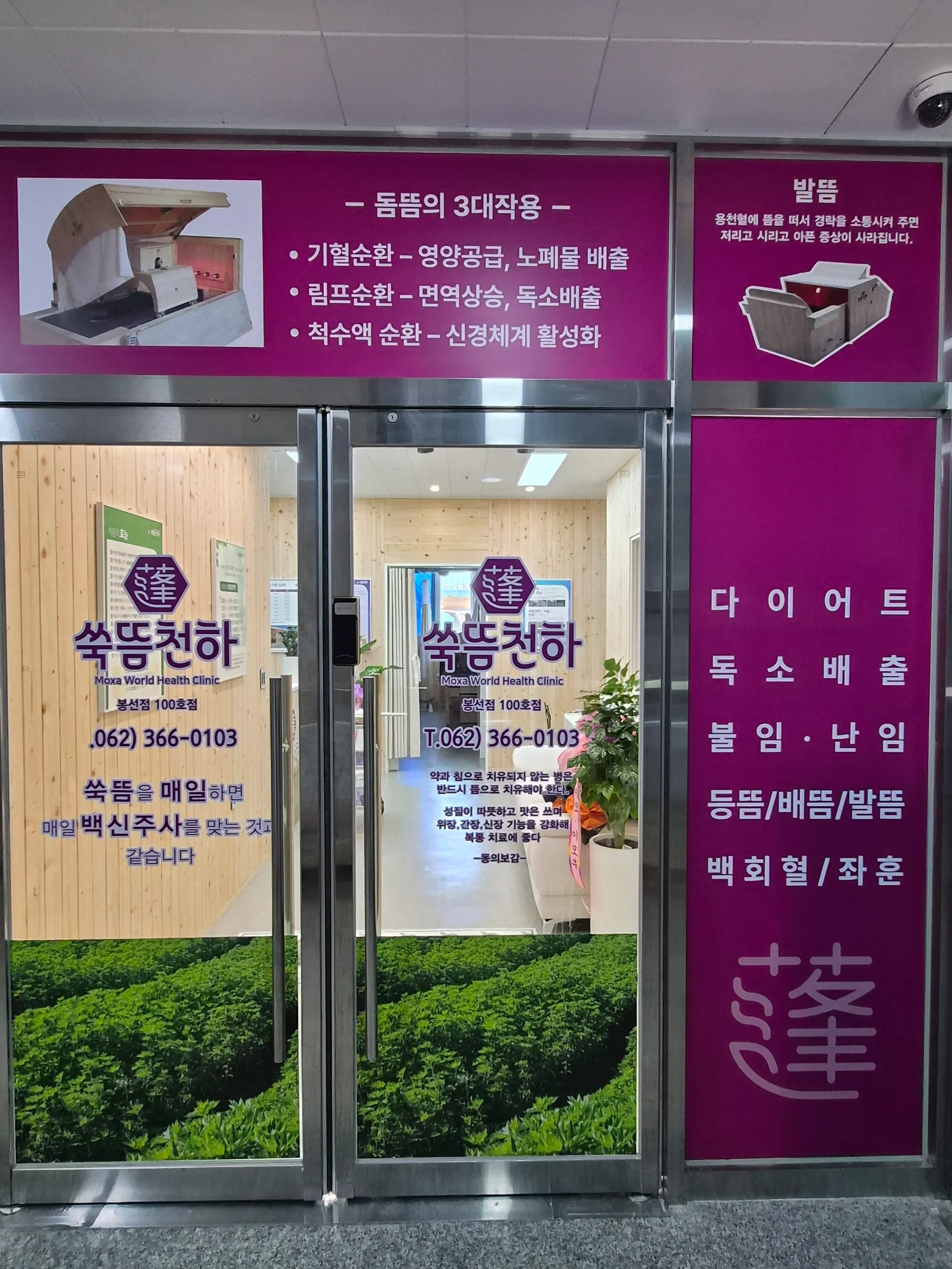 쑥뜸천하