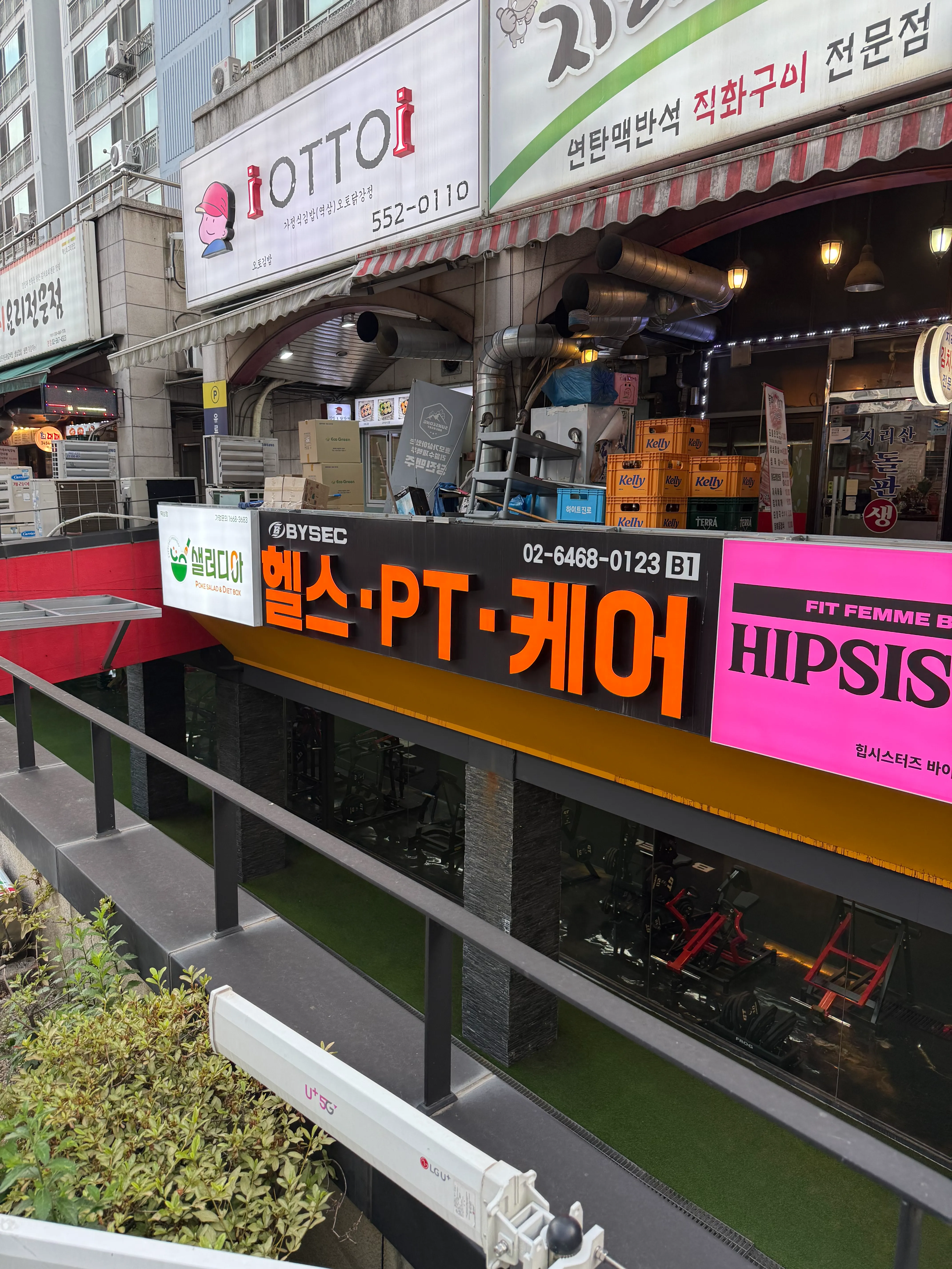 [강남구] 바이젝월드피트니스