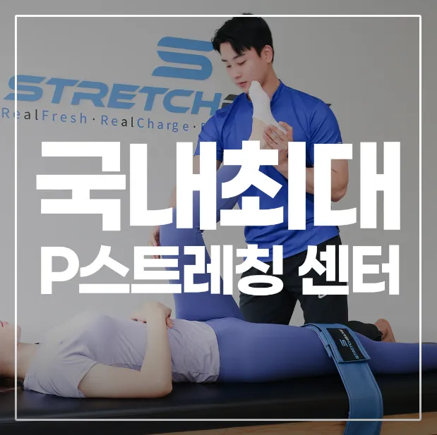[성남시] 스트레치뱅판교점
