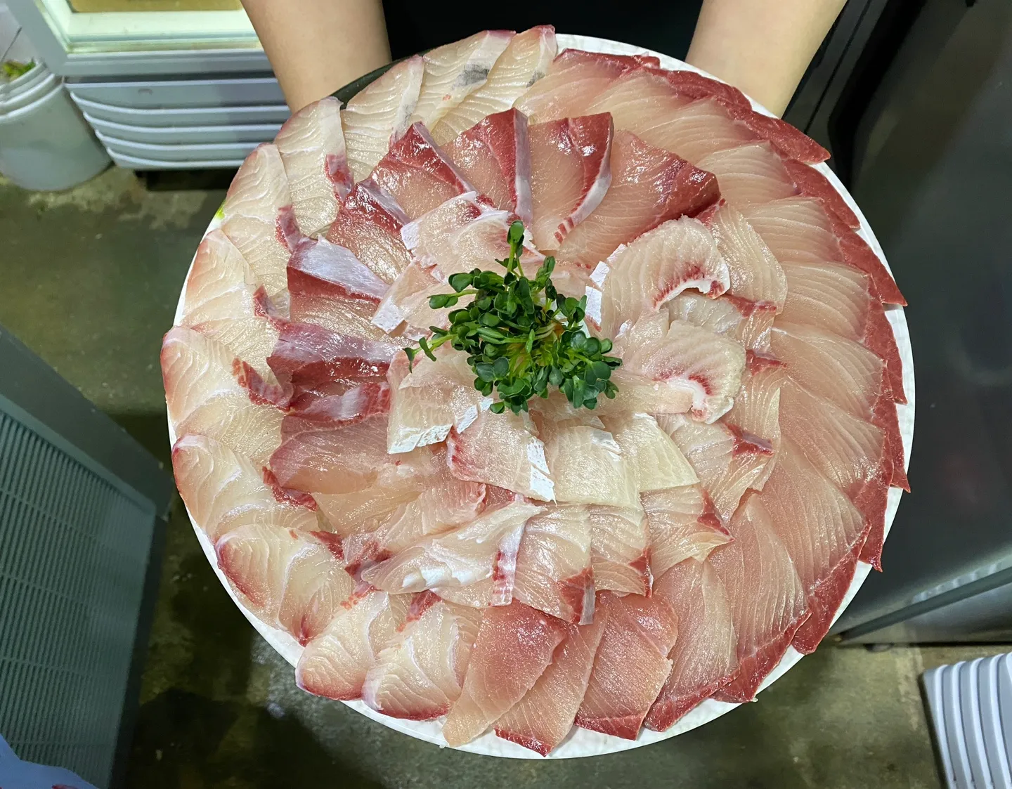 [옹진군] 보람이네