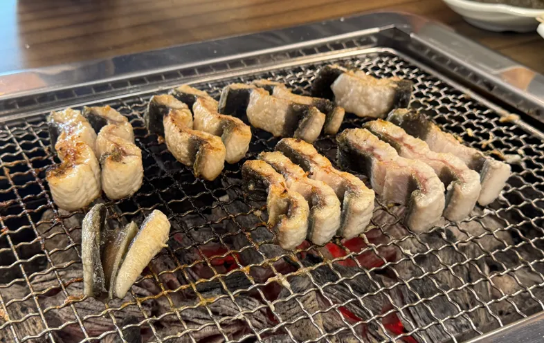 백년장어