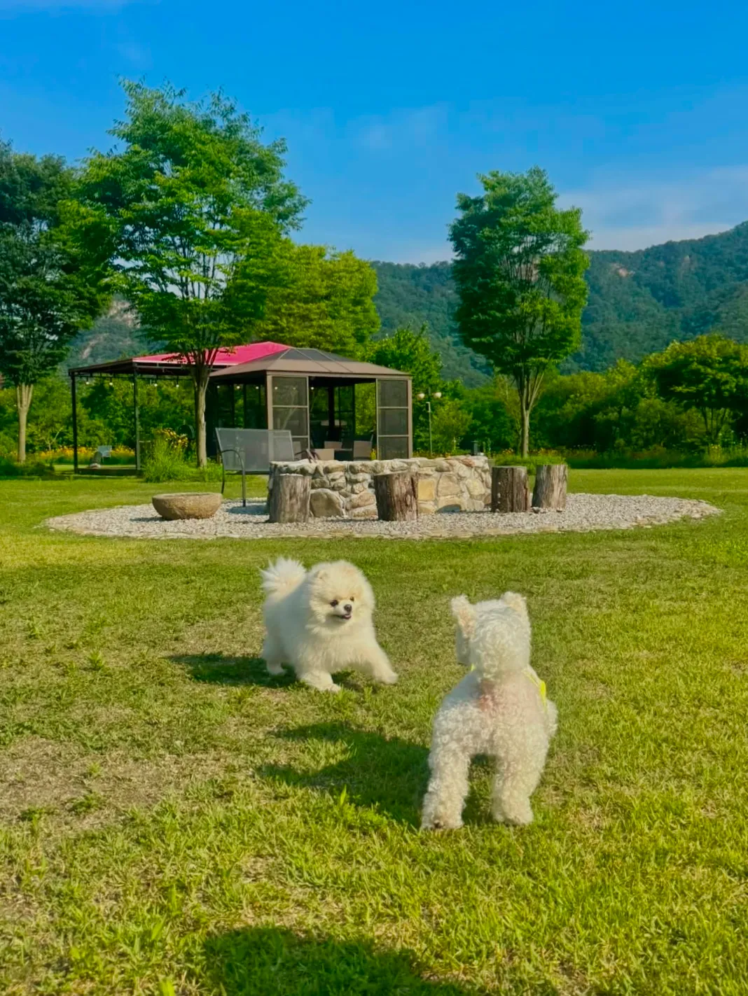 [원주시] 뛰어멍