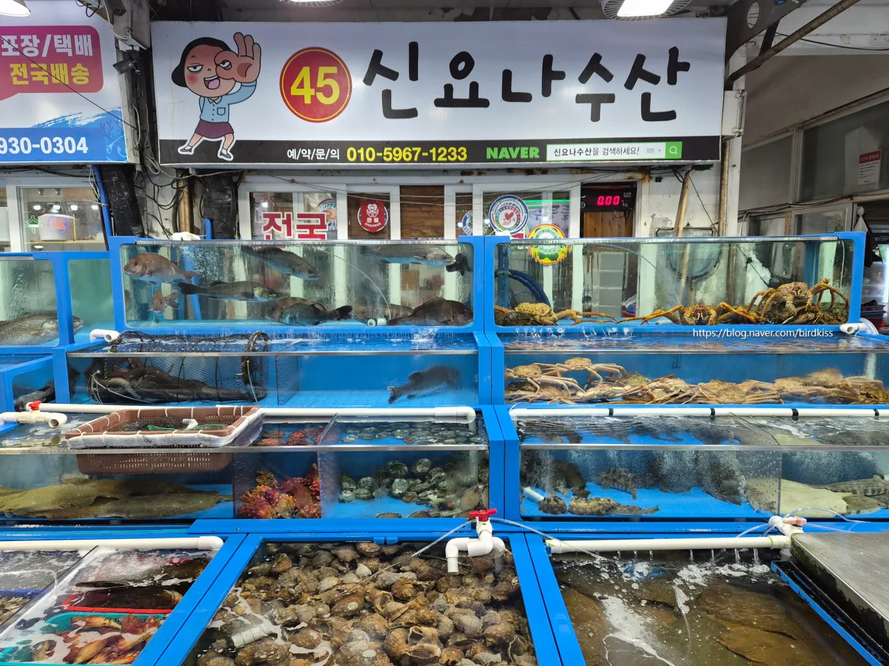 [보령시] 대천항수산시장 신요나수산