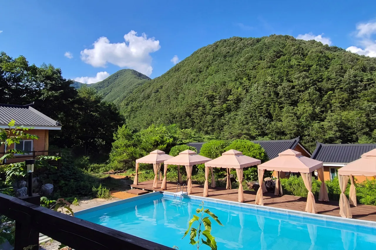 [영월군] 시더네스트