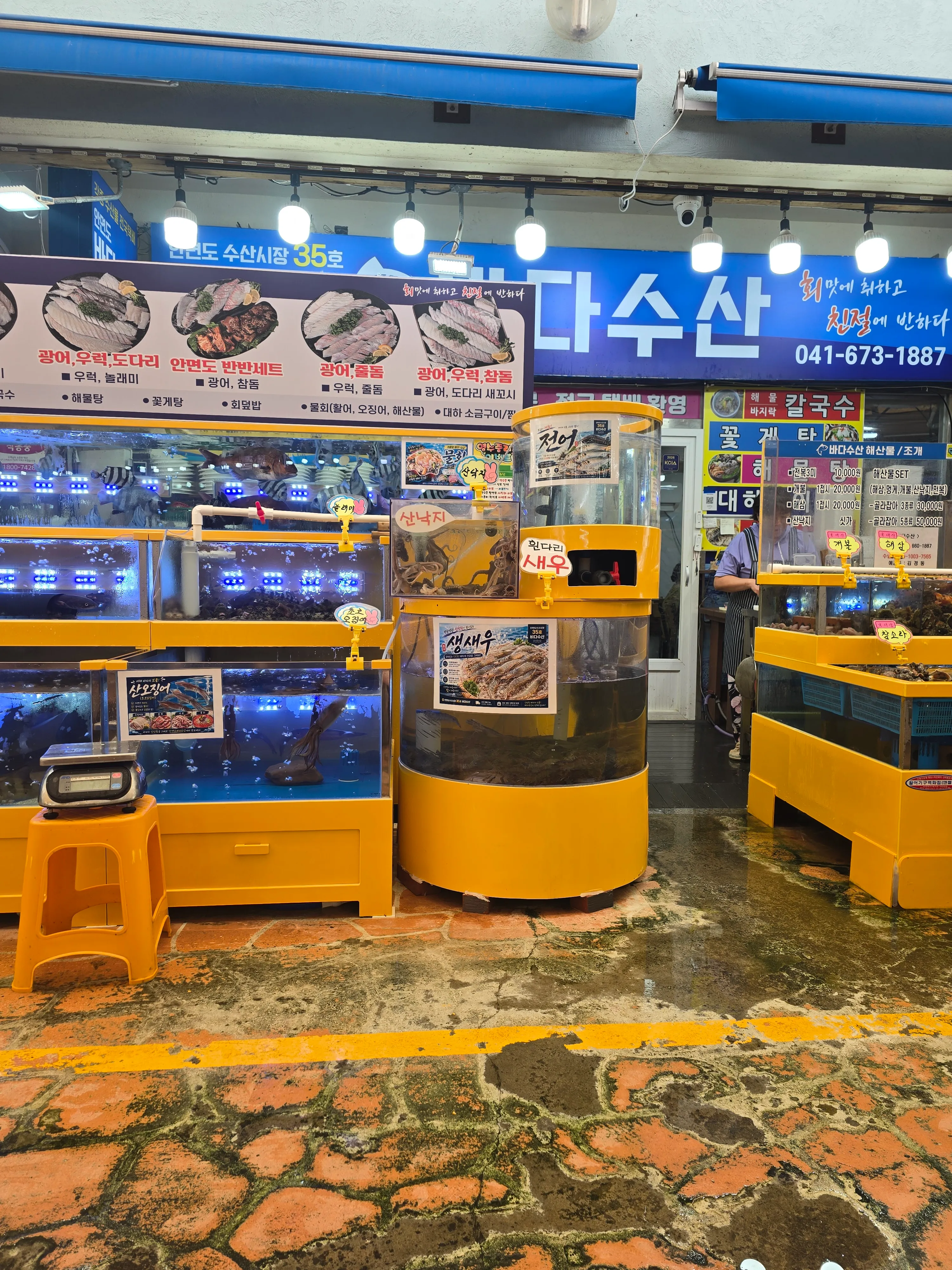 [태안군] 안면도바다수산