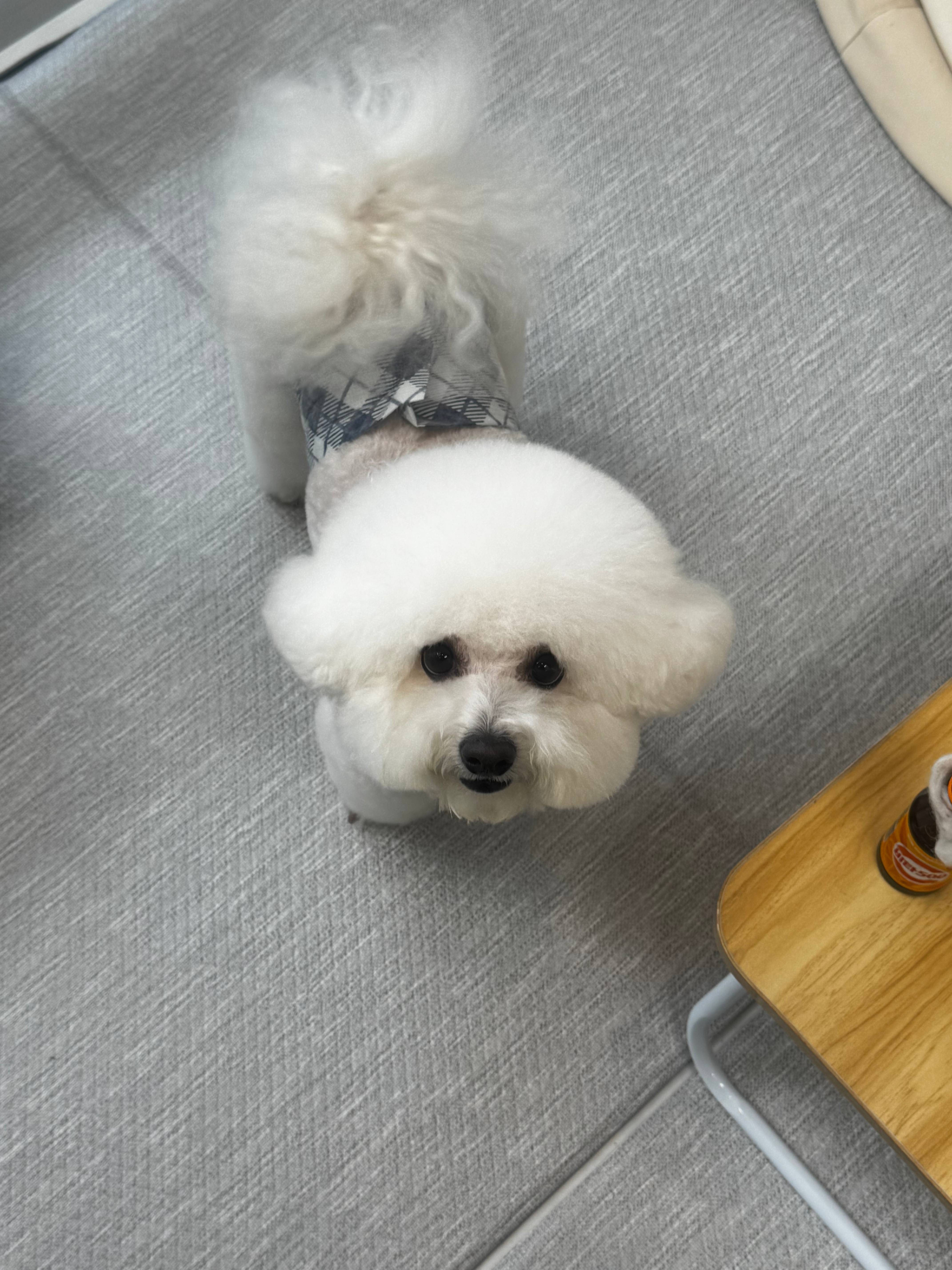 [김해시] 루나독